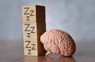 Sleep and Brain Wellness