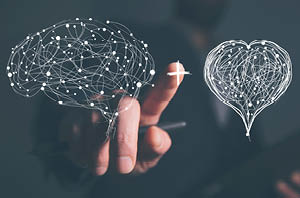 Heart and brain