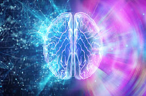 Brain health changes across age groups infographic